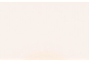 Intimate Apparel Inspiration for Bold Color Lovers