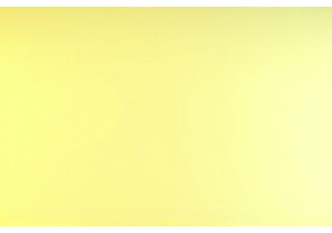 The Digital Shift: E-commerce Trends in the Chinese Lingerie Industry