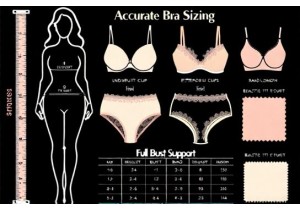 Guide to Plus Size Lingerie Measurements