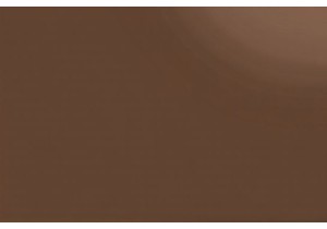 Strapless Bra Guide for Sleeveless Tops Always