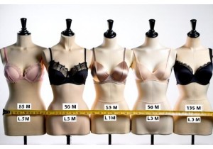 True to Size Claims in CN Lingerie Put to the Test