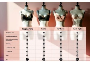 Lingerie Brand Comparison on Price Value and Style