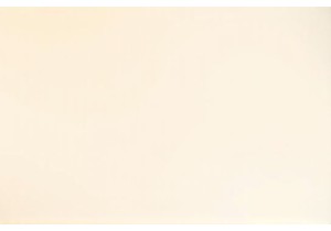 From Shanghai to the World Lily and Bing Journey