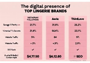 Lingerie Brand Comparison Online Presence and Reach