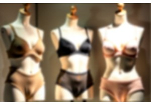 Innovative Designs Drive Sales in Chinese Lingerie Industry