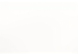 Market Trends Show Increased Focus on Body Positivity