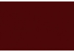 Daily Wear Challenges with Popular CN Lingerie Reviewed