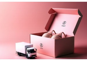 Chinese Lingerie Reviews on Packaging and Delivery