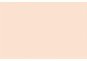 Customer Loyalty in Chinas Competitive Lingerie Niche