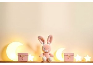 Lily and Bing Limited Editions What Makes Them Special