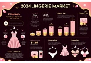 Seasonal Trends Shaping China Lingerie Market 2024