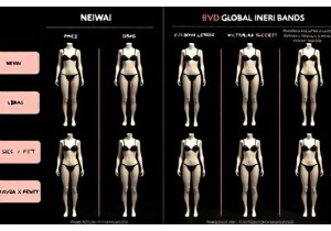 Lingerie Brand Comparison China vs Global Markets