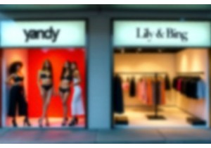 Comparing Yandy and Lily and Bing Target Markets and Appeal