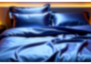 Lily and Bing Brand Story Behind the Silk Designs