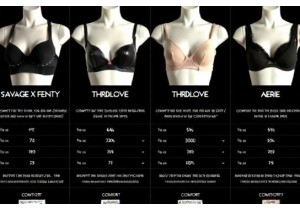 Lingerie Brand Comparison Focus on Fit and Comfort