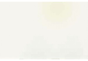 The Journey of Lily and Bing From Local to Global