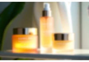 Unveiling the Secrets Behind Lily and Bings Success Story