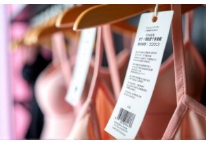 Regulatory Changes Affecting Lingerie Market China