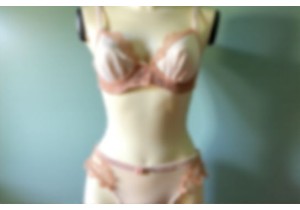 Affordable Bridal Lingerie Choices Under $50