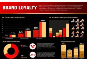 Brand Loyalty Patterns in China Innerwear Market