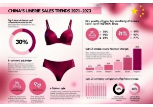 Data Visualization of China Lingerie Sales Trends