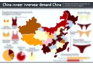 Regional Differences in Chinese Innerwear Demand