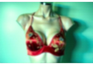 Modern Qi Pao Inspired Bras Blending Tradition and Trend