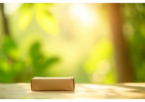 Sustainable Packaging Solutions for Eco Apparel Brands