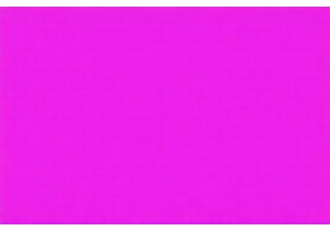 GOTS Certified Organic Cotton in Eco Conscious Bra Lines