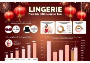 Shopping Festival Sales Data for Lingerie in China