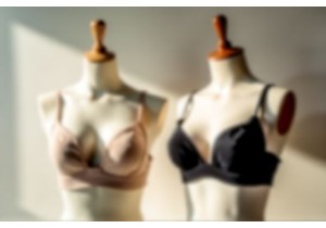 From Bao Fu to Modern Bra A Journey Through Chinese Underwear History