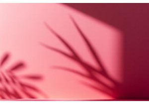 Zero Waste Zero Compromise The Rise of Recyclable Material Lingerie Lines