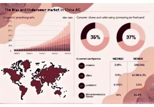Category Growth Data for Bras and Underwear in China