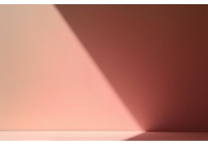 NextGen DTC Intimate Brands in China Pioneering CarbonNeutral Lingerie Solutions