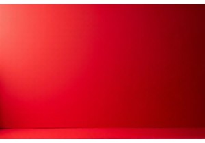 Lingerie Hot Brands Competing with Intimissimi