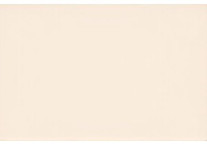 Rural Market Opportunity for Budget Lingerie Brands