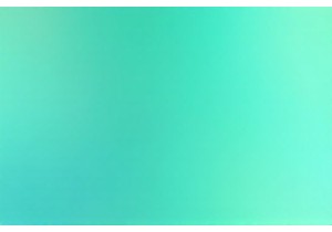 Customer Service Excellence Drives Lingerie Brand Loyalty