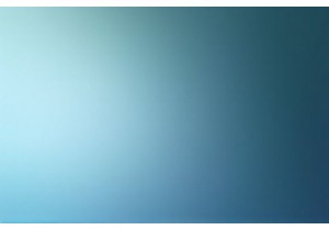 National Favorite Lingerie Brands Built on Trust and Durability