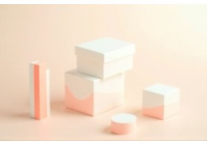 Subscription Model Viability in Chinese Lingerie Market Analysis