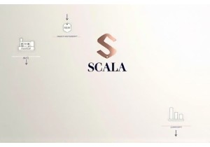 Scala Competitive Edge in Chinese Lingerie Market Analysis