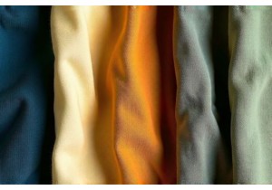 Plant Based Dyes and Their Color Fastness Levels