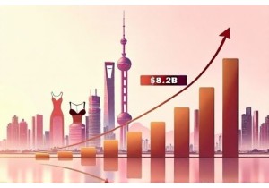 Chinese Lingerie Market Forecast Based on Recent Industry Analysis