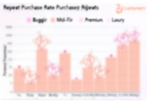 Repeat Purchase Rate Analysis Across Lingerie Price Segments