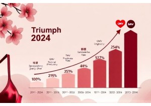 Triumph Performance Metrics in Chinese Lingerie Market 2024