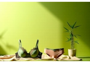 Sustainability Trends in the Chinese Lingerie Market