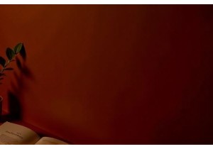 Organic Cotton and the Future of Green Lingerie