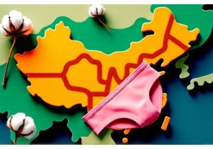 Local Sourcing Strategies Strengthening China