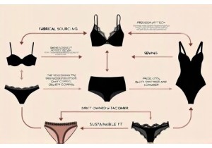 Vertical Integration Advantage of Top Tier Lingerie Groups