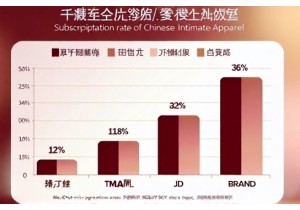 Subscription Model Adoption Rates in Chinese Intimate Apparel