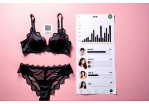 Influencer Driven Discovery Pathways for Lingerie in WeChat